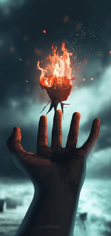 Fire Rose in Hand Creative Photo