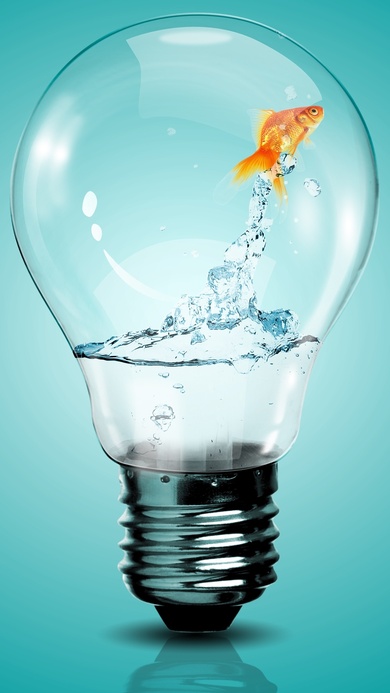 Fish in Bulb Creative Image