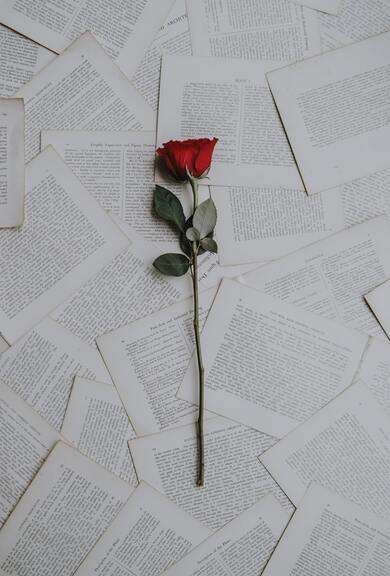 Flower on Books Page