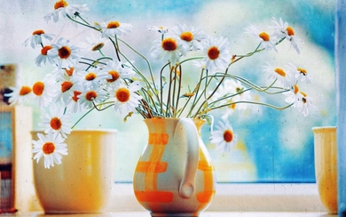 Flower Pot Background