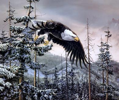 Flying Bird Eagle Pic