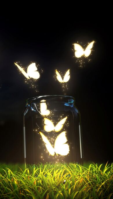 Free Butterfly Creative