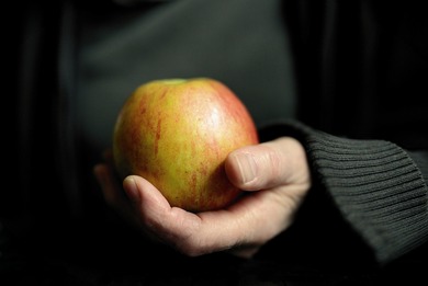 Fruit Apple in Hand