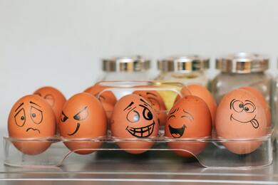 Funny Eggs Faces HD Wallpaper