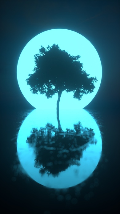 Glow Tree Shadow in Water Creative Pic