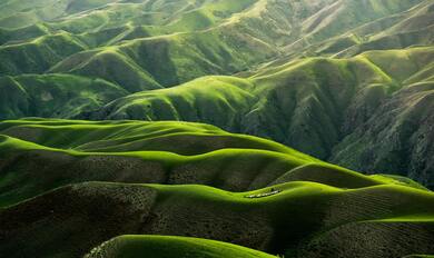 Grass on Mountains