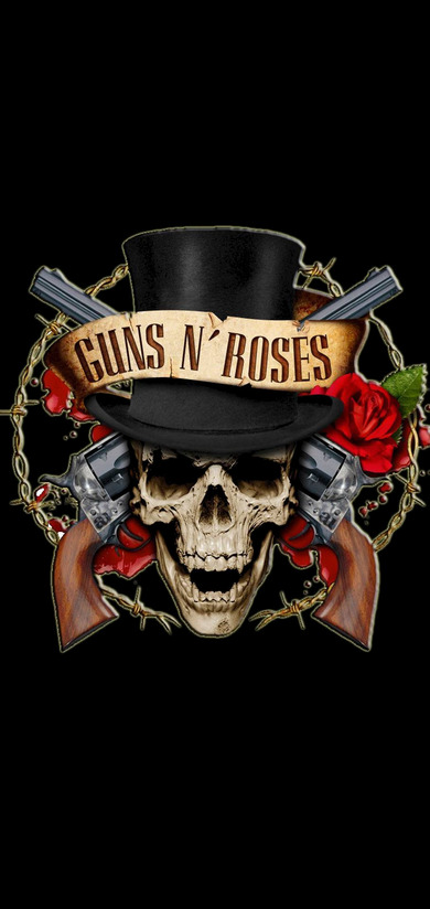 Guns And Roses Logo