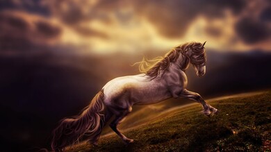 Horse Landscape Photo