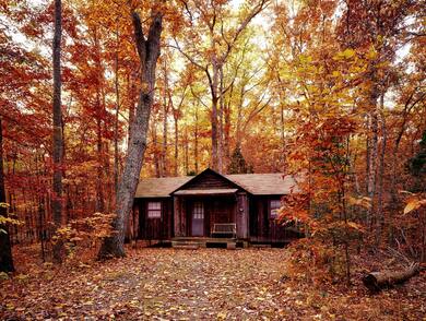 House in Forest