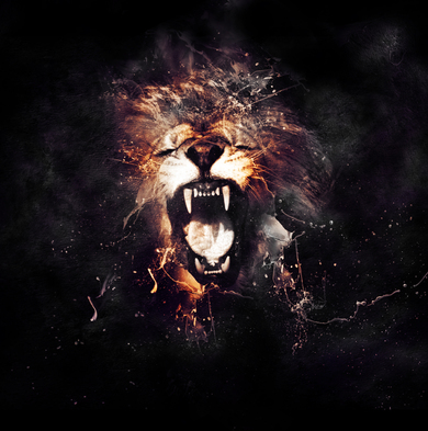 Lion Face in Black Background
