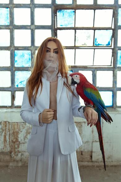 Macaw Parrot Bird Sitting With Girl