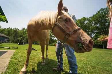 Man Standing Beside Horse