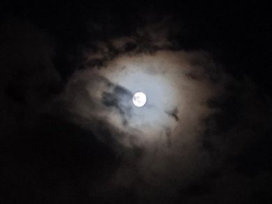 Moon in Night Pic