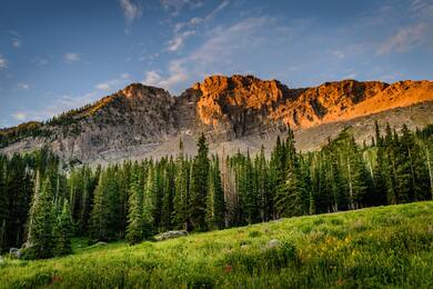 Mountain Nature and Green Tree Ultra HD Photo