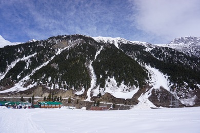 Mountains with Snow and Tree