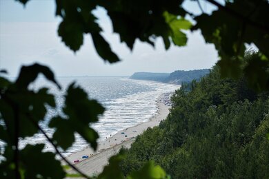 Nature Beach View HD