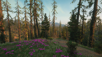 Nature Mountain and Tree View