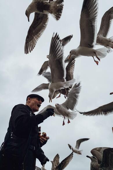 Old Man Feeding Birds From His Hand