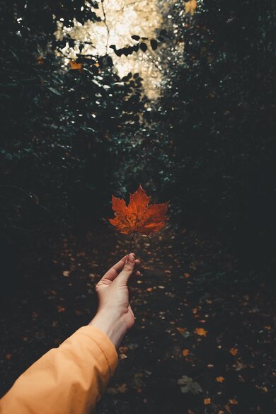 Orange Maple Leave on Hand