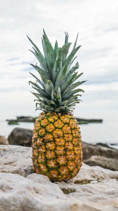 Pineapple Fruit Mobile Photo