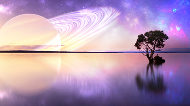 Planet Tree Reflection Creative Photo