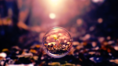 Plant in a Glass Sphere 3D HD Wallpaper