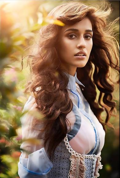 Pretty Look of Disha Patani Celebrity