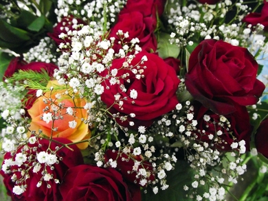 Pretty Red Roses Bouquet