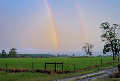 Rainbow Full HD Best Wallpaper