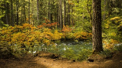 River in Beautiful Forest Nature Pic