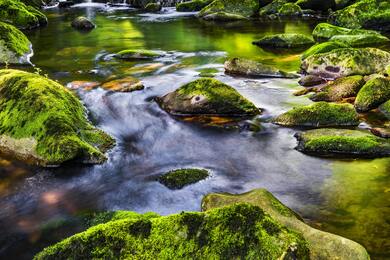 River Nature Photo