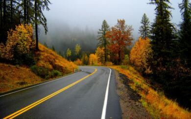 Road and Nature View