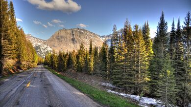 Road Between Mountain and Trees