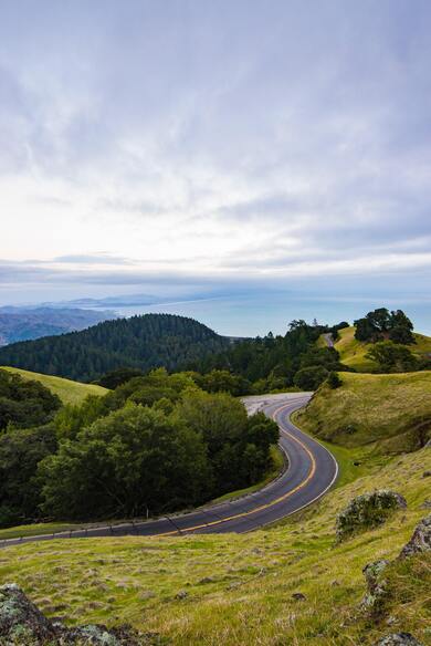 Road Between Nature Look