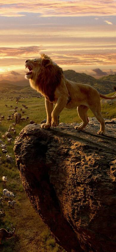 Roaring Lion on Rock Mobile Pic