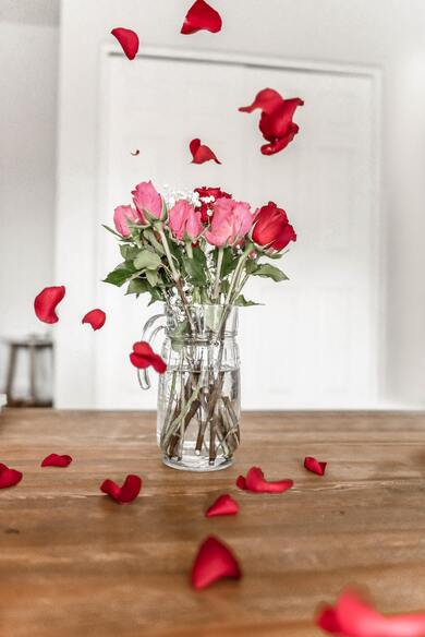 Rose Flower in Glass Beaker