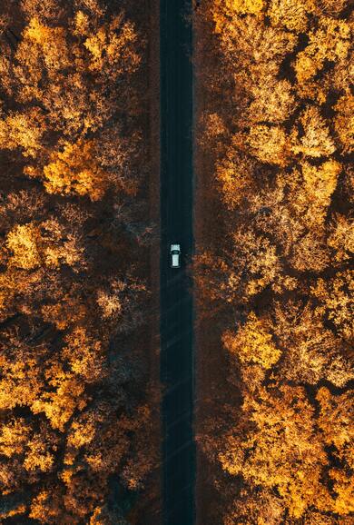 Running Car on Straight Road