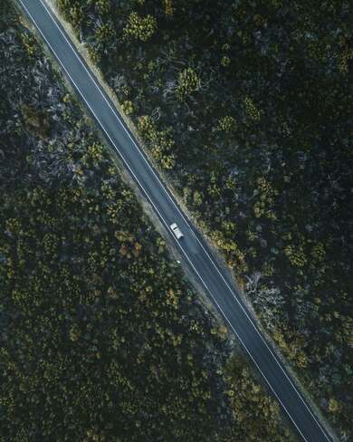 Silent Road Between Jungle