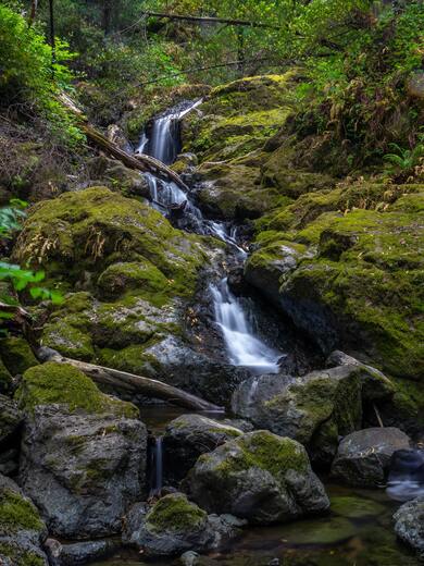 Small Waterfall Nature HD Mobile Wallpaper