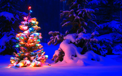 Snowy and Lighting Christmas Tree Decoration