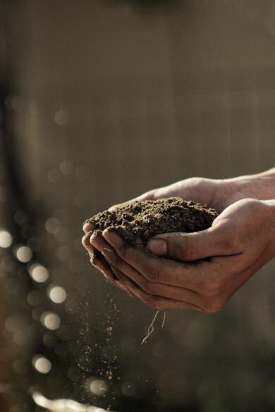 Soil in Hand