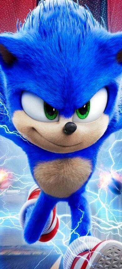 Sonic the Hedgehog Game