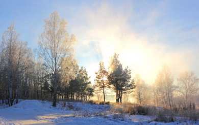 Sunrise at Winter Snow and Tree