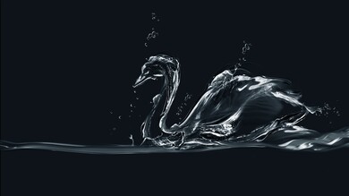 Swan Water Creative Wallpaper