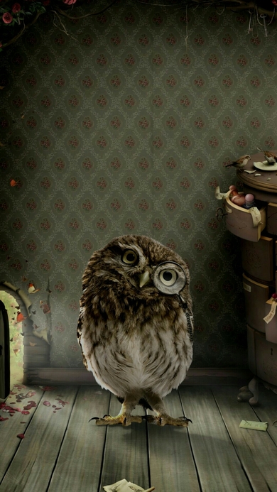 Sweet Owl Pic