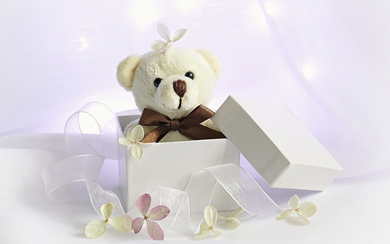 Teddy Bear Gift