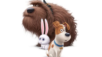 The Secret Life of Pets 4K Image