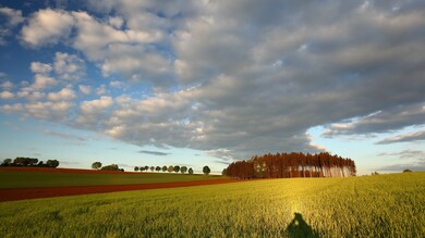 Tress Cloud Sky with Farm