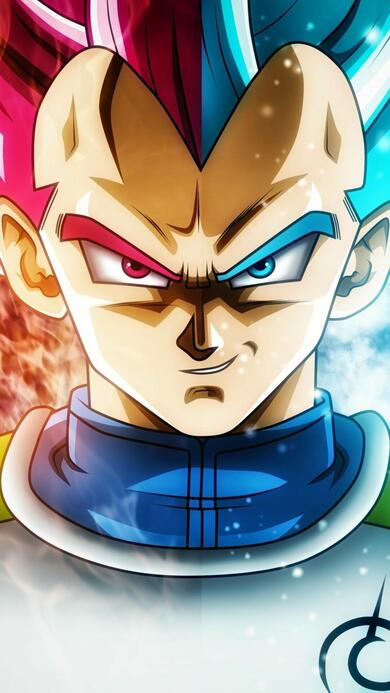 Vegeta Super Saiyan Blue 2 Wallpaper