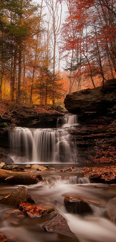 Waterfall in Jungle